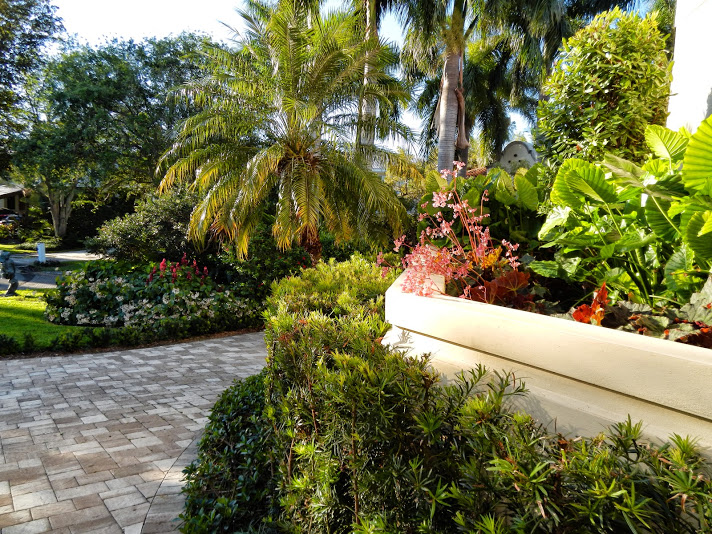 Plant Care Miami Florida