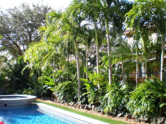 tropical landscaping design 16