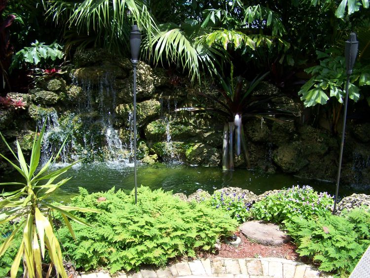 Tropical Water Features