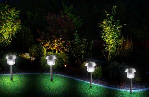 LED landscape lighting in yard at night. 
